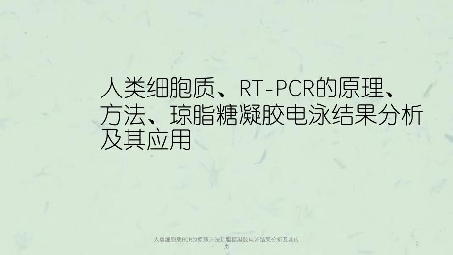 人类细胞质RCR的原理方法琼脂糖凝胶电泳结果分析及其应用课件_第1页