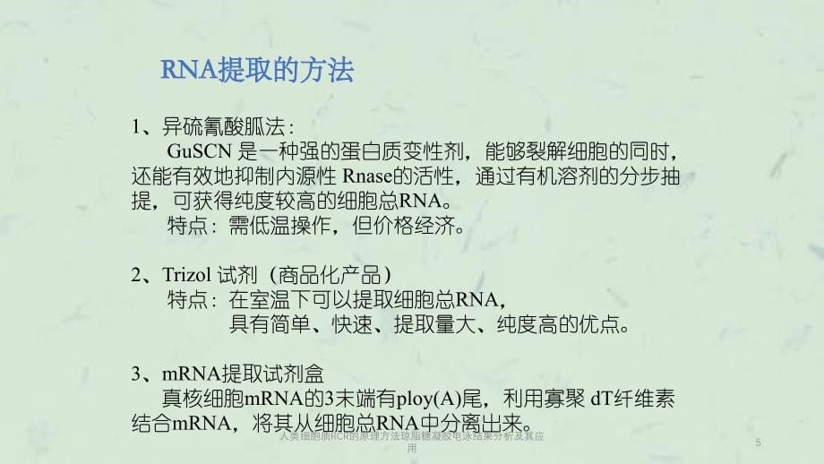 人类细胞质RCR的原理方法琼脂糖凝胶电泳结果分析及其应用课件_第5页