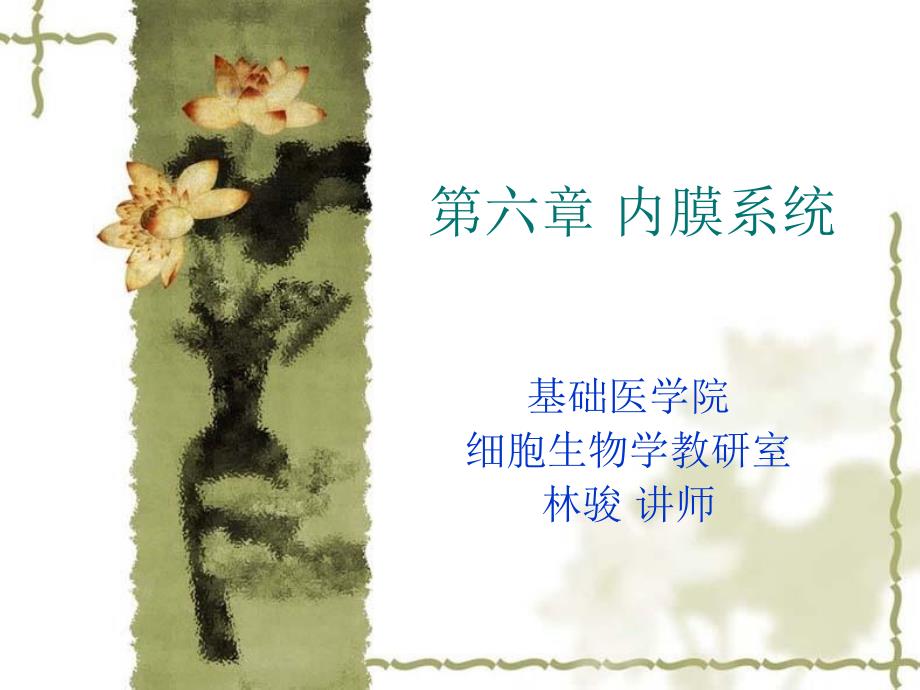 细胞的内膜系统与囊泡转运_第1页