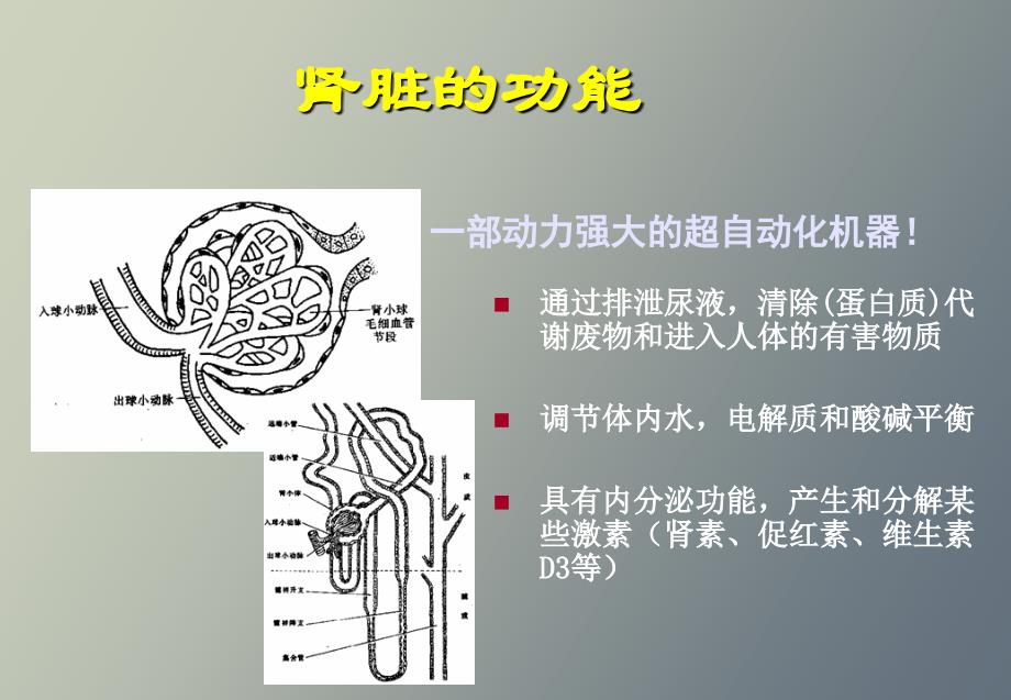 营养饮食宣教_第3页