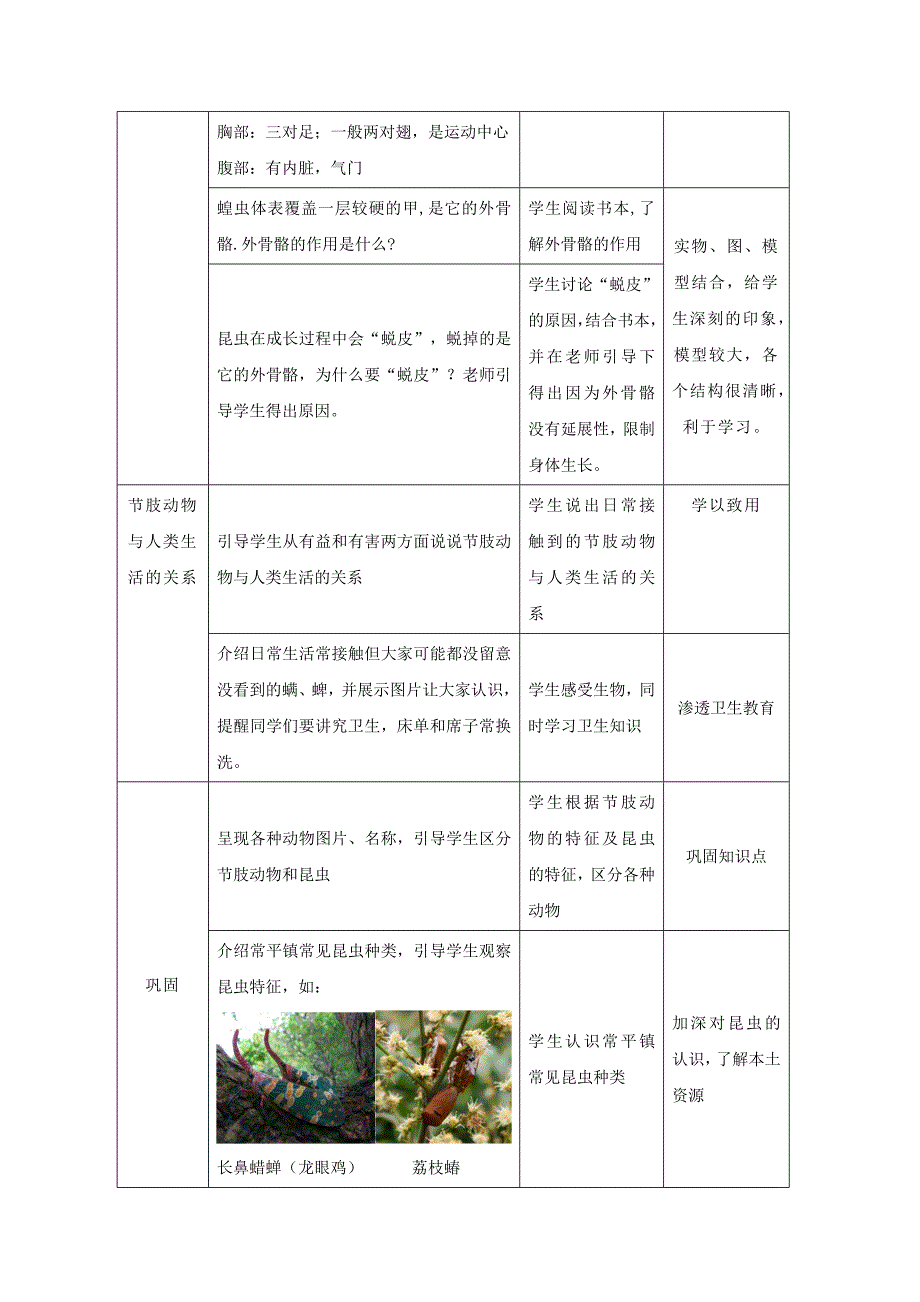 八年级生物上册 5.1.3《软体动物和节肢动物》（第2课时）教案1 （新版）新人教版.doc_第4页