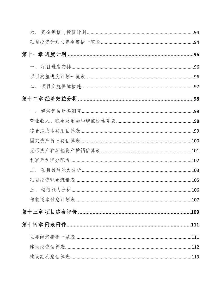 X X关于成立LED模组公司可行性报告_第5页