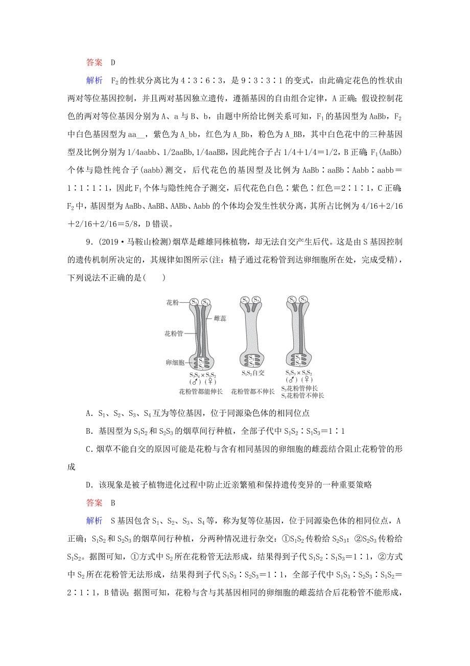 高考生物一轮复习 第一编 考点通关 综合专项集训 遗传与进化（含解析）-人教版高三全册生物试题_第5页