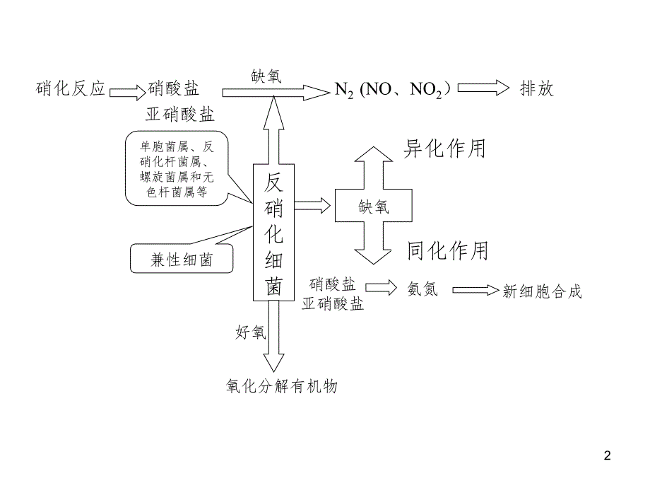 生物反硝化过程PPT课件_第2页