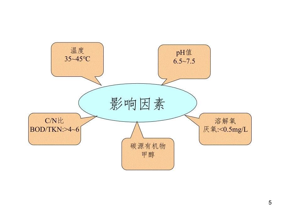 生物反硝化过程PPT课件_第5页