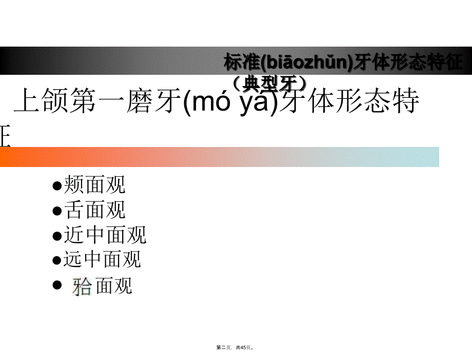 上颌第一磨牙牙体形态简述演示教学_第2页