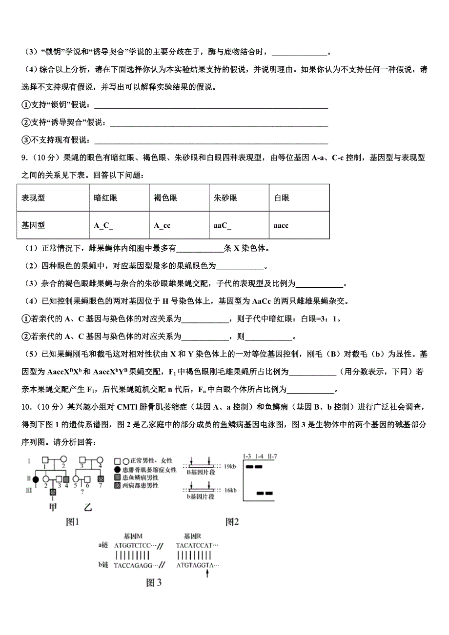 2023年北京市一七一中学高三第二次诊断性检测生物试卷（含答案解析）.doc_第4页