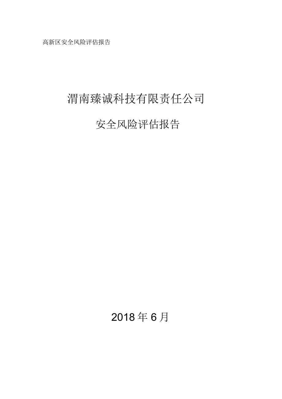 安全风险评估报告_第1页