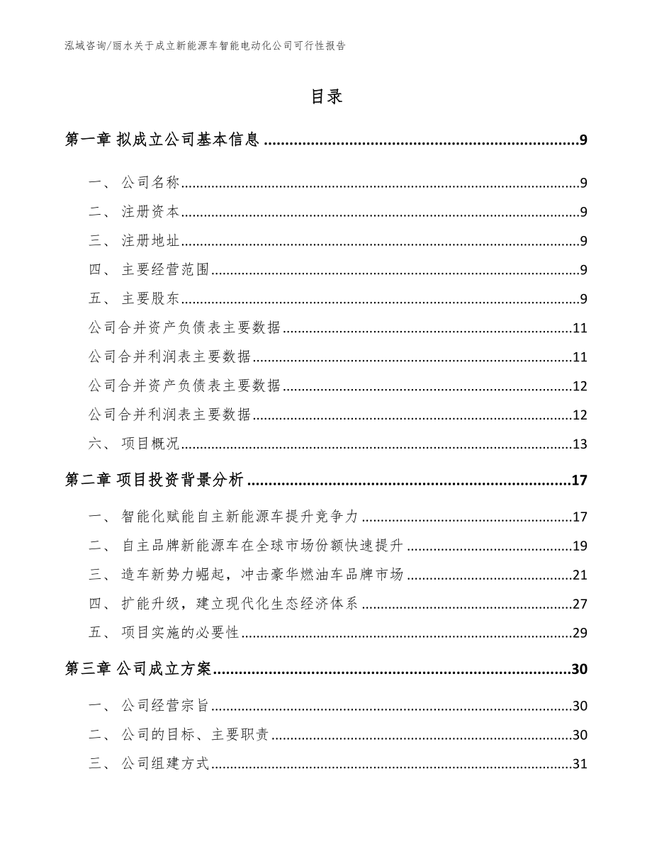 丽水关于成立新能源车智能电动化公司可行性报告范文_第2页