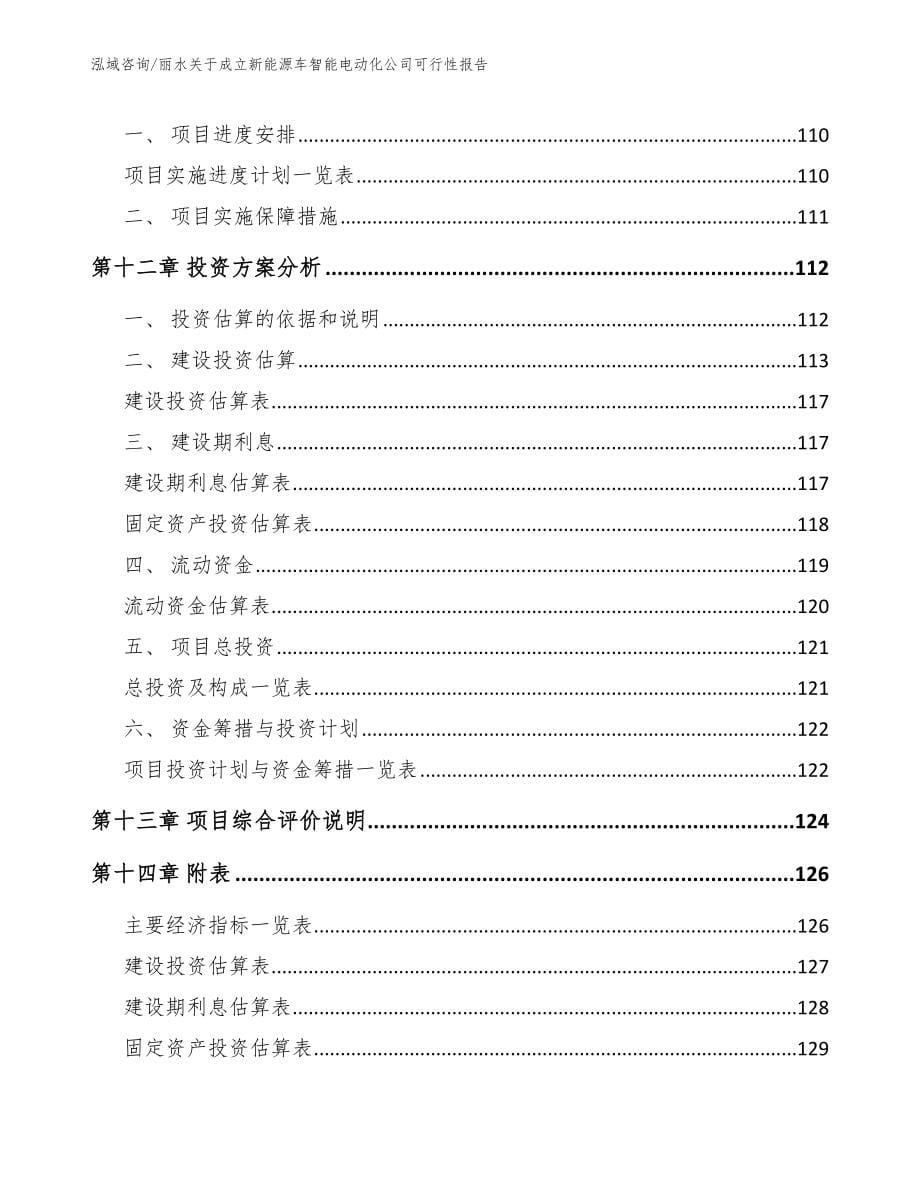 丽水关于成立新能源车智能电动化公司可行性报告范文_第5页