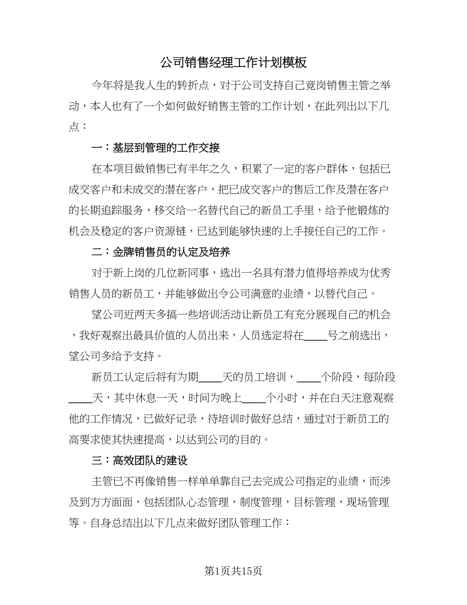 公司销售经理工作计划模板（6篇）.doc_第1页