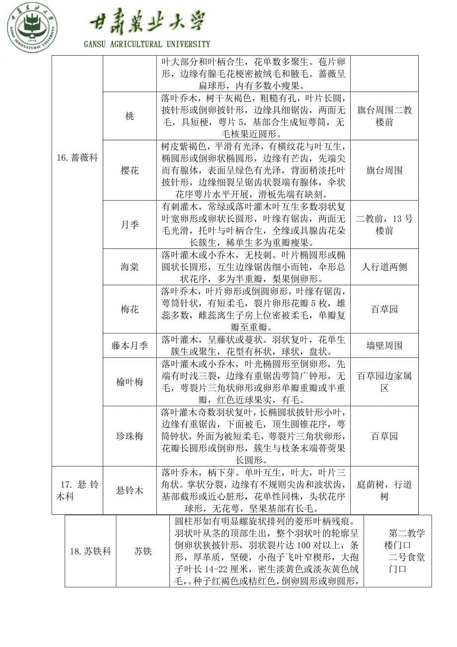 植物分类学校园.doc_第5页