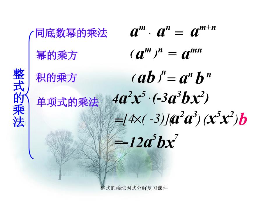 整式的乘法因式分解复习课件经典实用_第2页