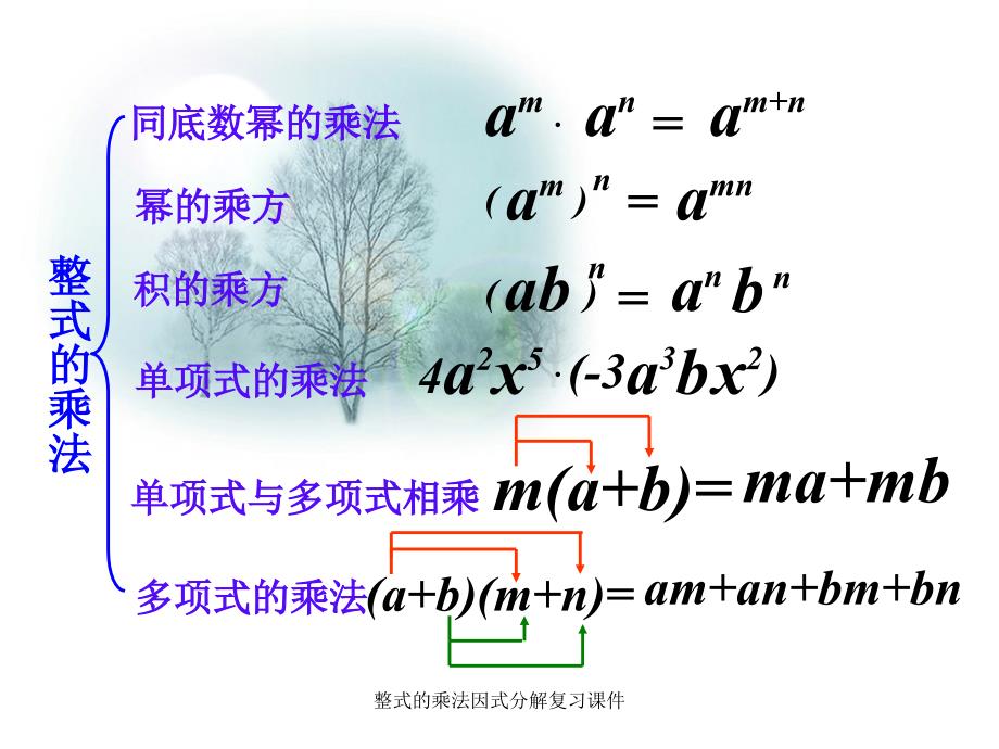 整式的乘法因式分解复习课件经典实用_第3页