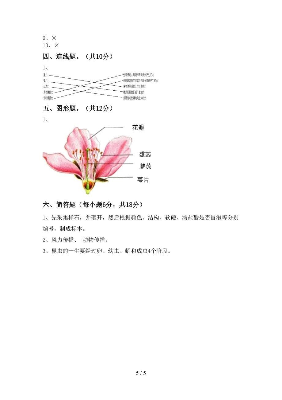 四年级科学上册期末测试卷(汇编).doc_第5页