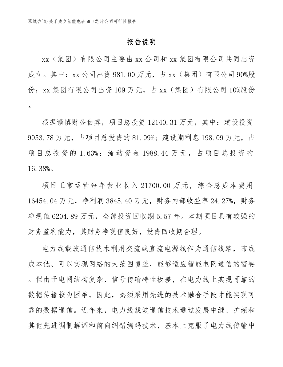 关于成立智能电表MCU芯片公司可行性报告模板范本_第2页