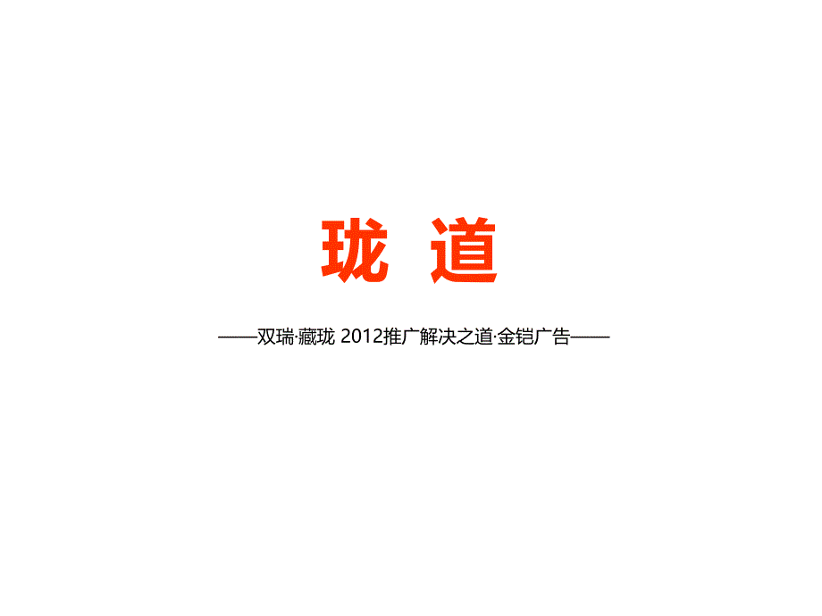 长沙双瑞藏珑推广解决之道_第1页