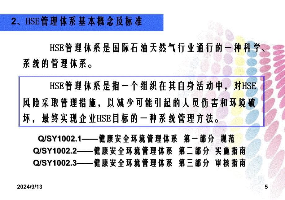 企业管理集团公司HSE发展战略HSE管理理念_第5页