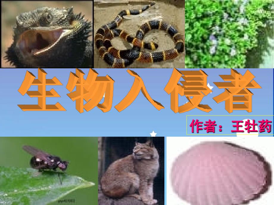 生物入侵者（王牡药）_第2页