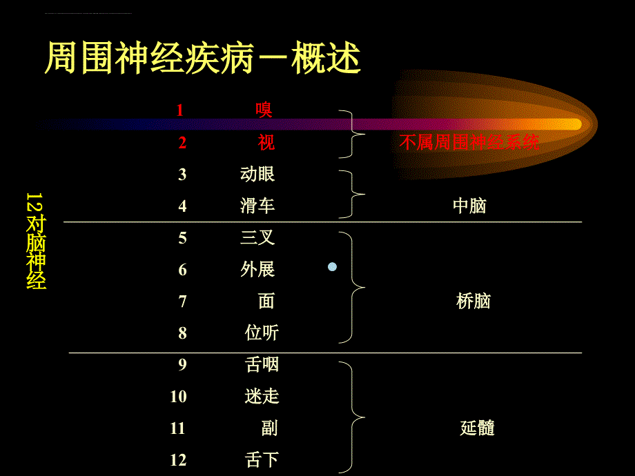 周围神经病ppt课件_第4页