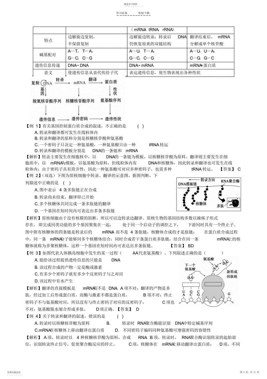 2022年高三生物一轮复习精品教案氨基酸蛋白质的合成_第5页