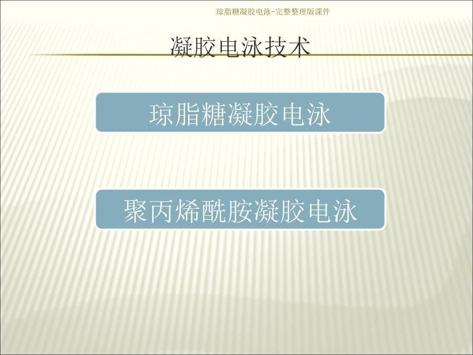 琼脂糖凝胶电泳完整整理版课件_第5页