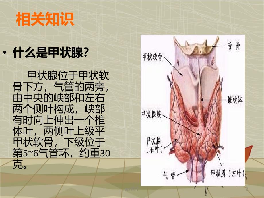 甲状腺肿瘤护理查房ppt课件_第2页