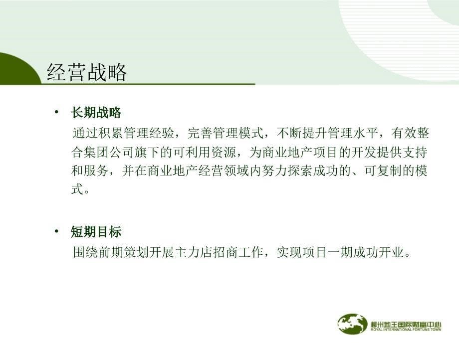 某商业运营管理有限公司筹建方案课件_第5页