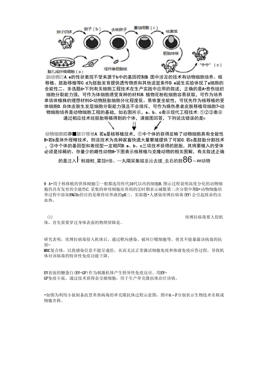 动物细胞工程1_第2页