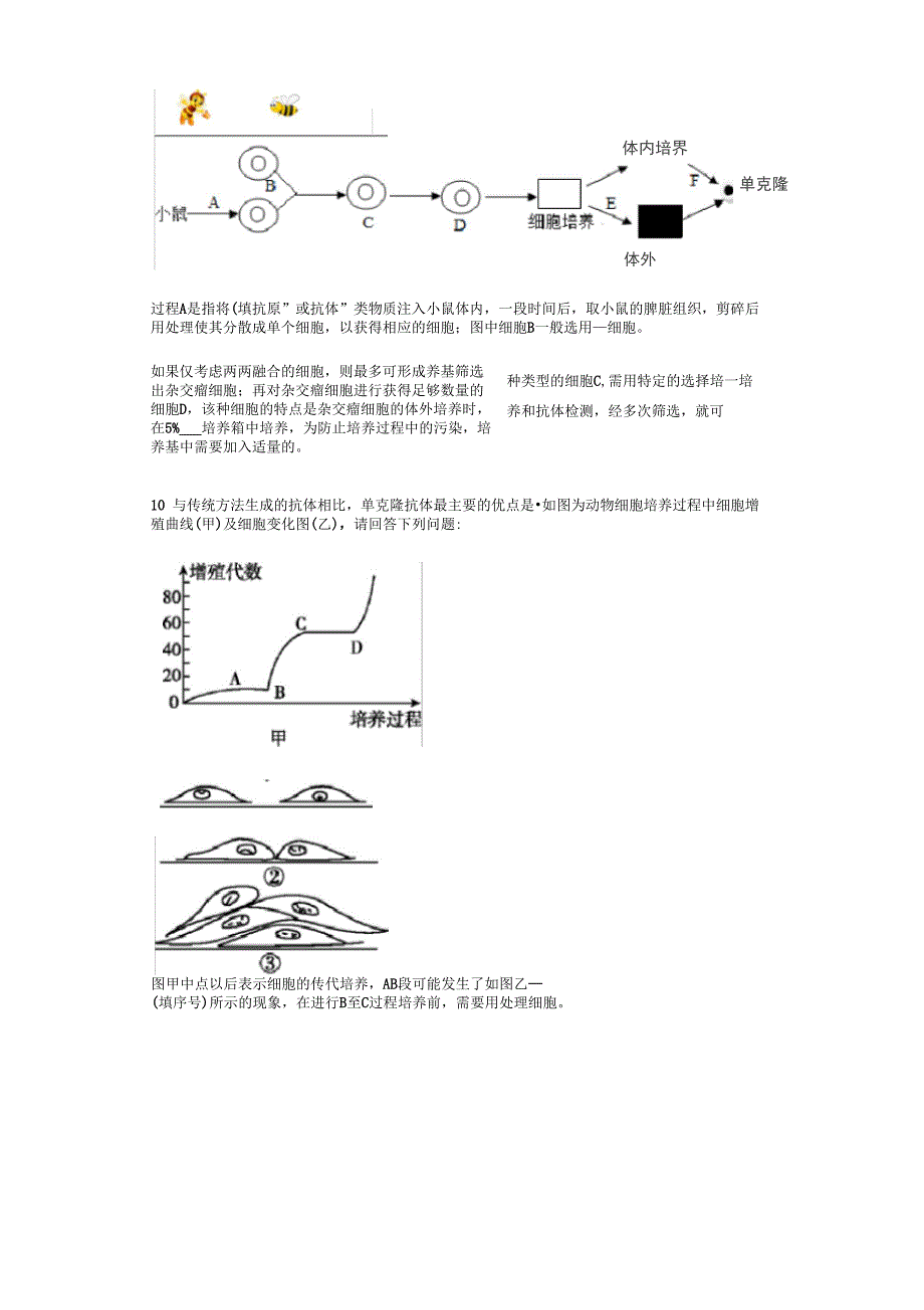 动物细胞工程1_第3页