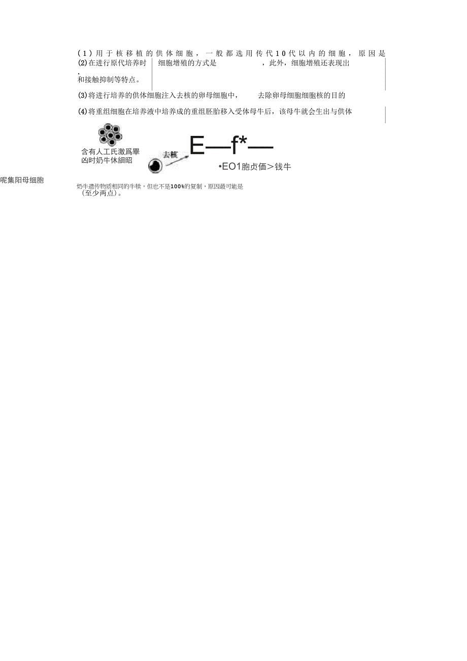 动物细胞工程1_第5页