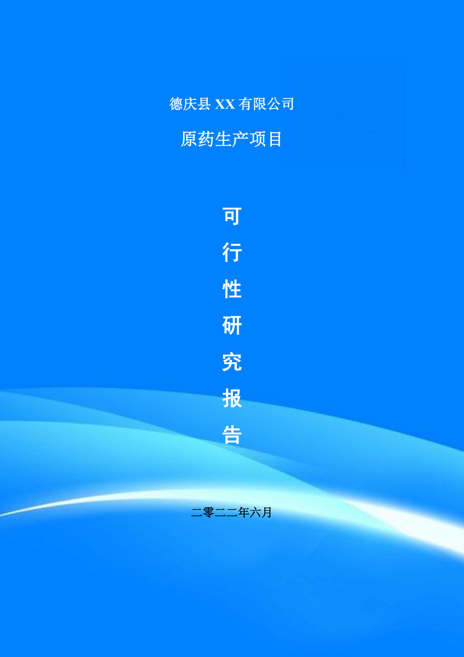 原药生产项目可行性研究报告建议书_第1页