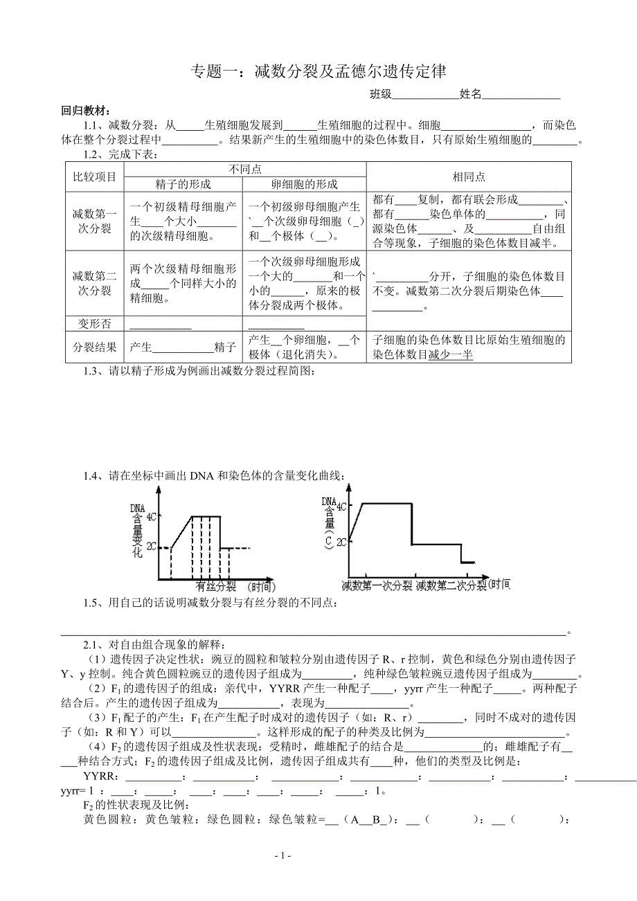 减数分裂及孟德尔遗传（分层作业）_第1页