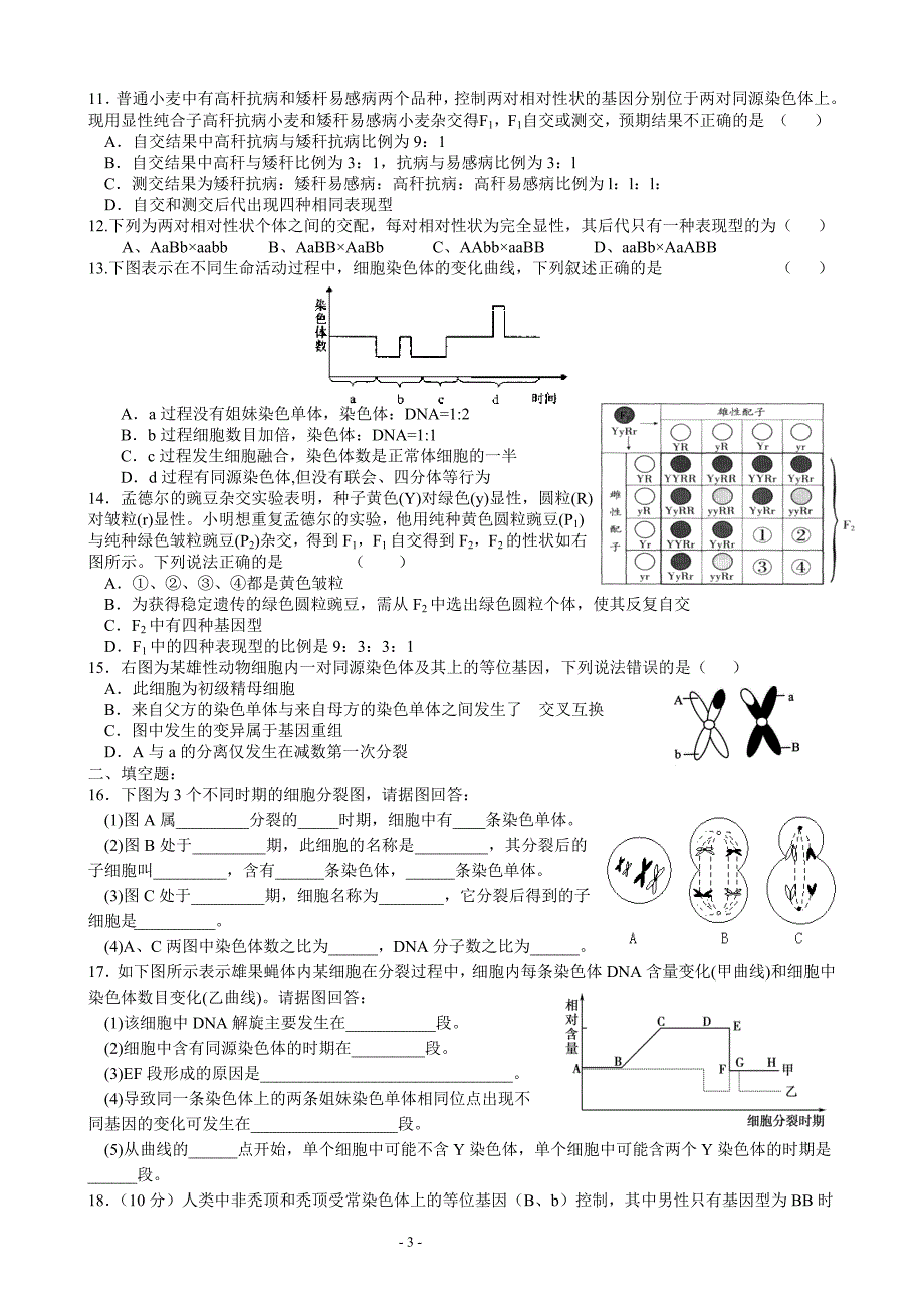 减数分裂及孟德尔遗传（分层作业）_第3页