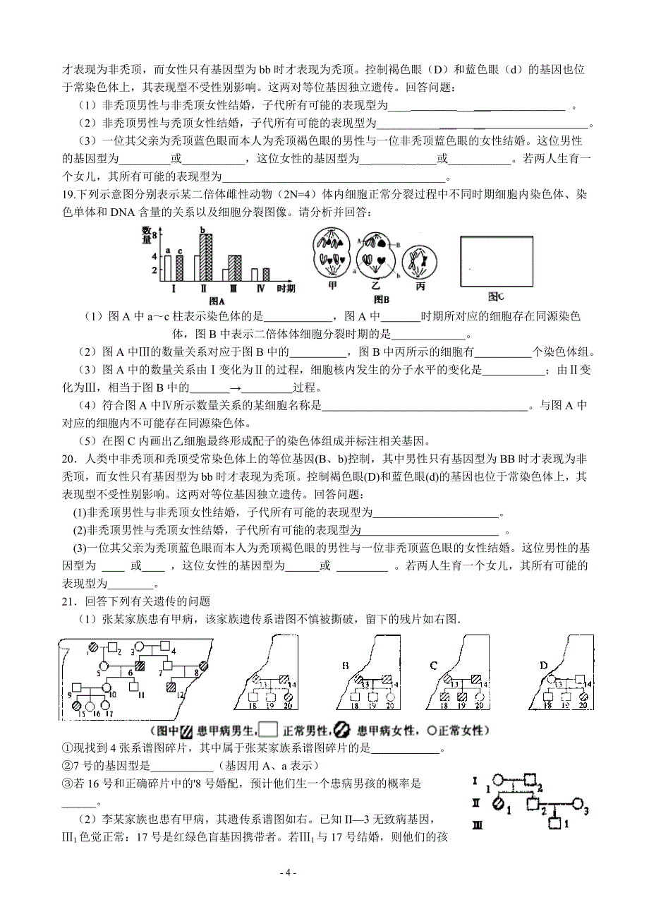 减数分裂及孟德尔遗传（分层作业）_第4页