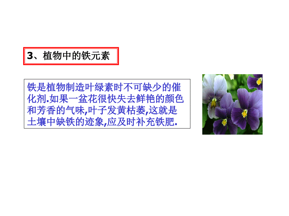 [高考]铁和铁的化合物课件_第4页