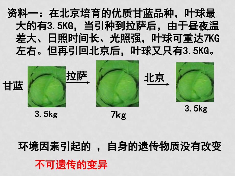 高中生物高考第一轮复习生物变异和育种课件人教版第五章基因突变及其他变异_第3页