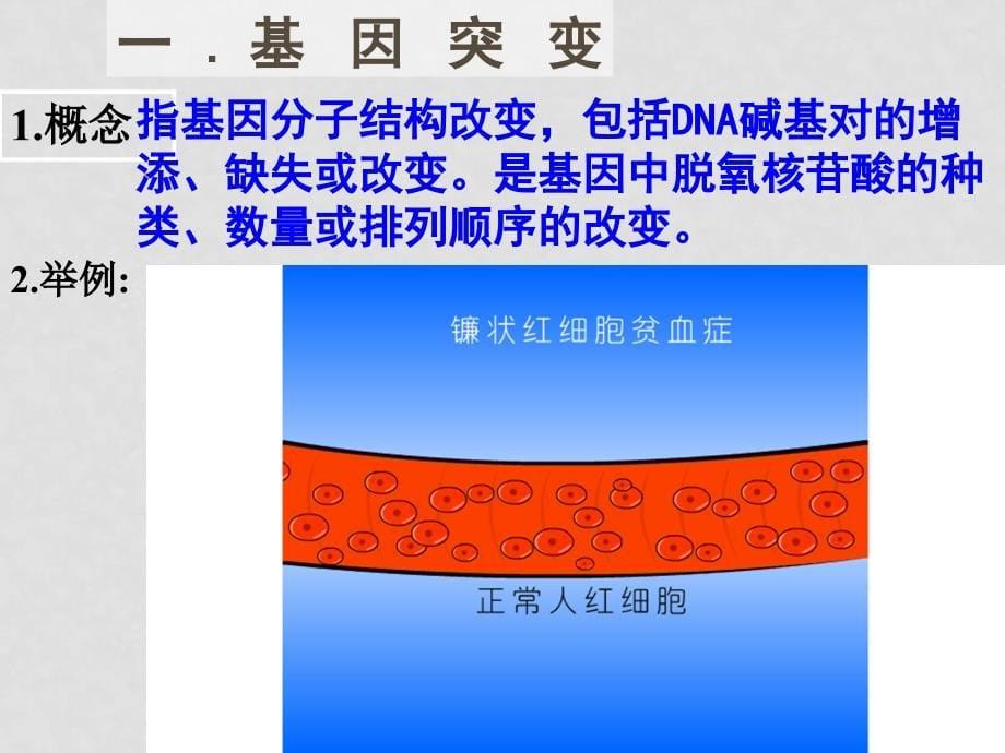 高中生物高考第一轮复习生物变异和育种课件人教版第五章基因突变及其他变异_第5页