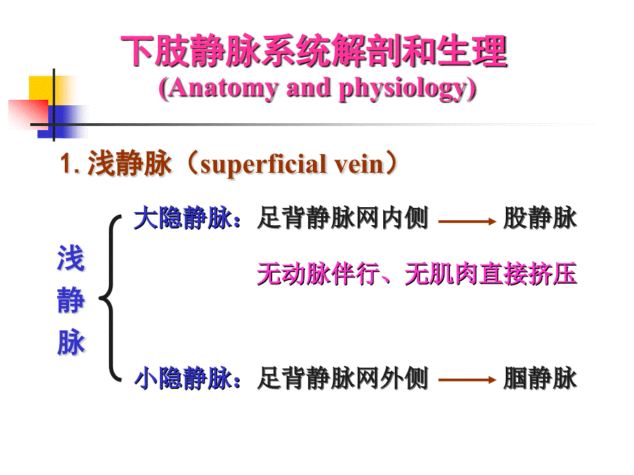 静脉疾病介绍ppt课件_第3页