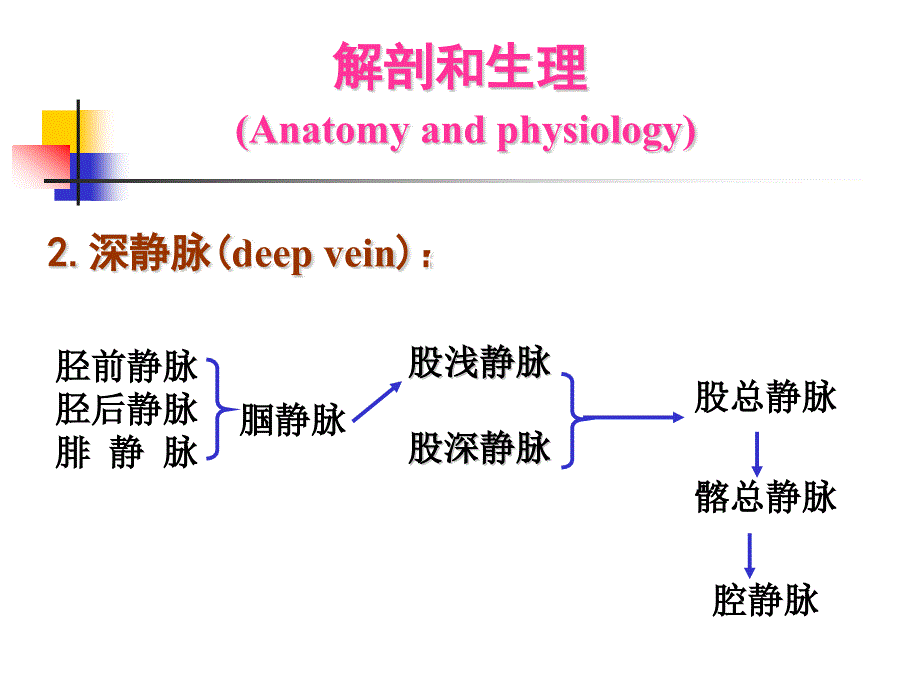 静脉疾病介绍ppt课件_第4页