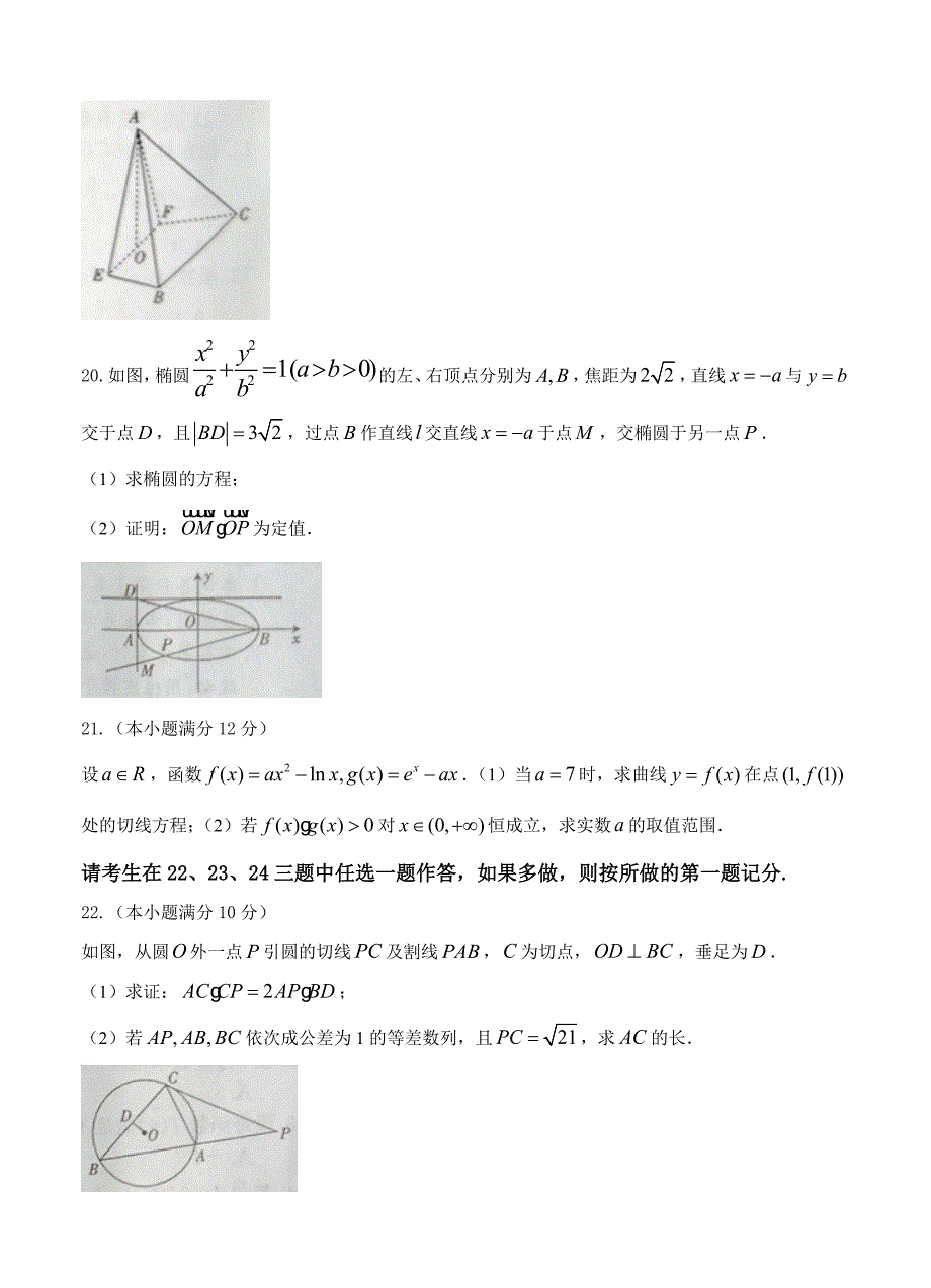 广西南宁市高三第一次模拟适应性测试考试数学文试卷含答案_第5页