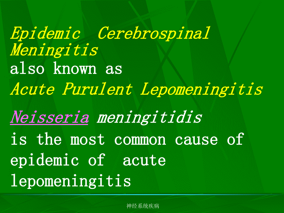 神经系统疾病课件_第4页