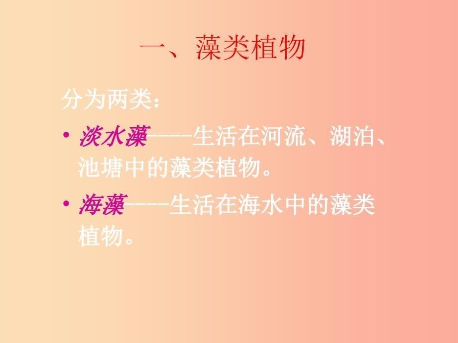 安徽省七年级生物上册3.1.1藻类苔藓和蕨类植物课件3 新人教版.ppt_第5页