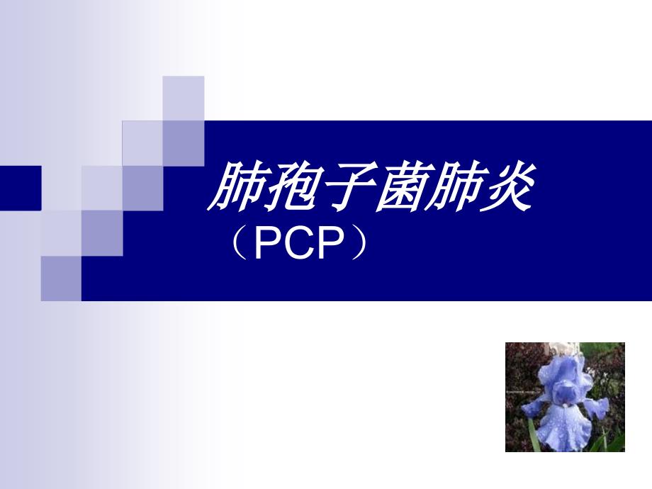 肺孢子菌肺炎PPT课件_第4页