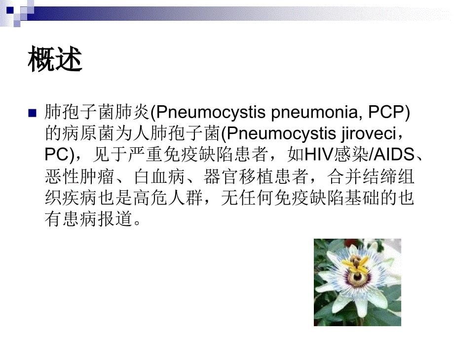 肺孢子菌肺炎PPT课件_第5页