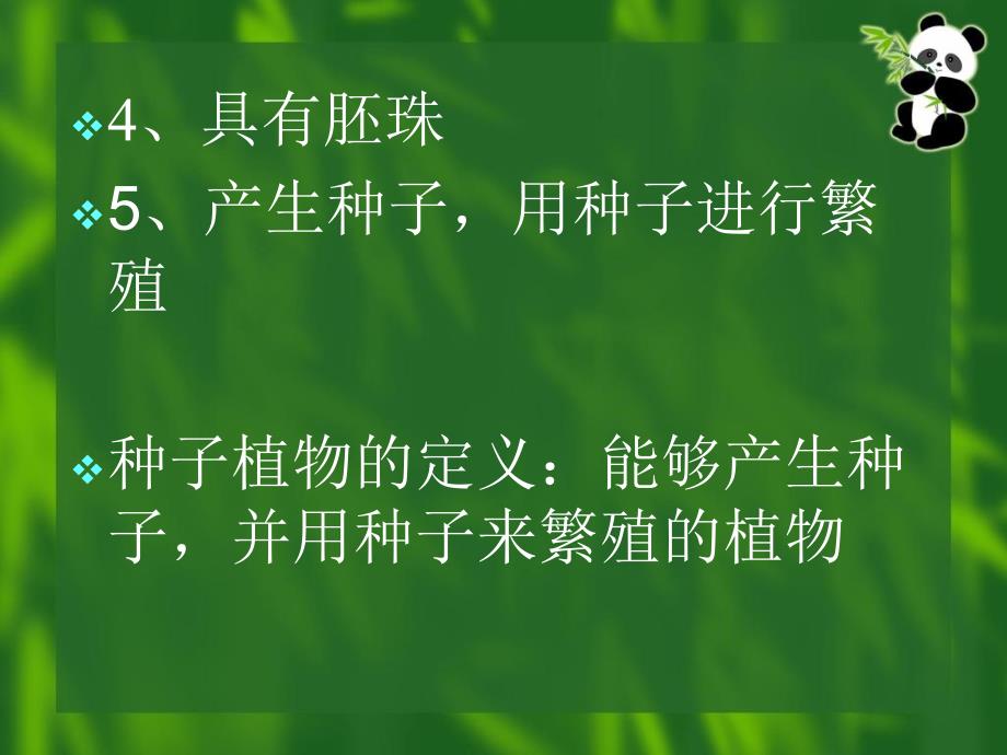 第七章裸子植物_第2页