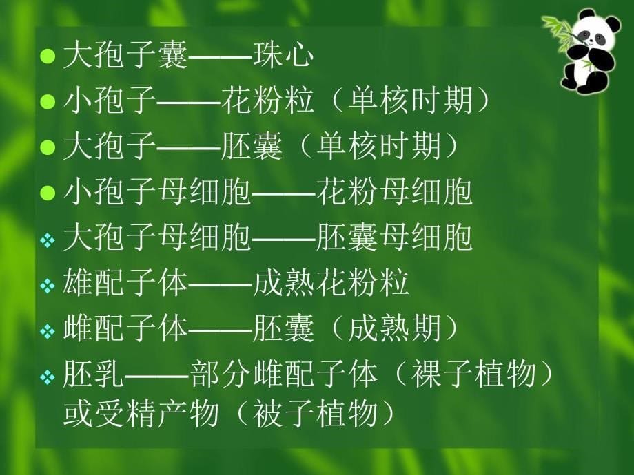 第七章裸子植物_第5页