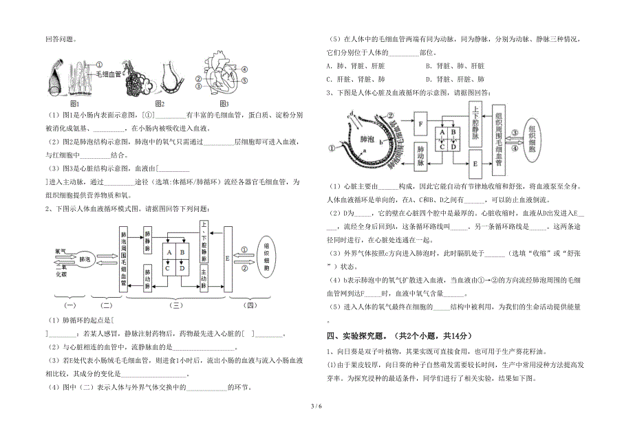 七年级生物上册期末考试卷(全面).doc_第3页