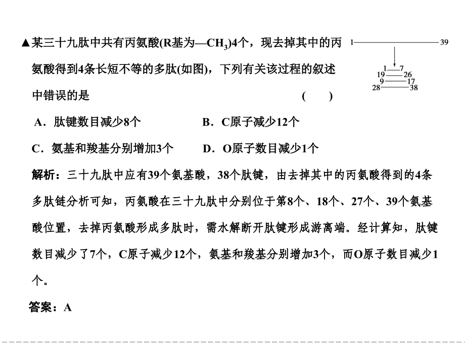 蛋白质的相关计算.ppt_第3页