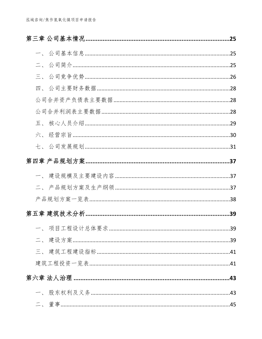 焦作氢氧化镍项目申请报告_参考范文_第2页